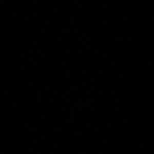 Meet your Posher, Aliyah